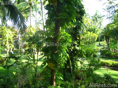 Melia Bali - The Garden Villas 54